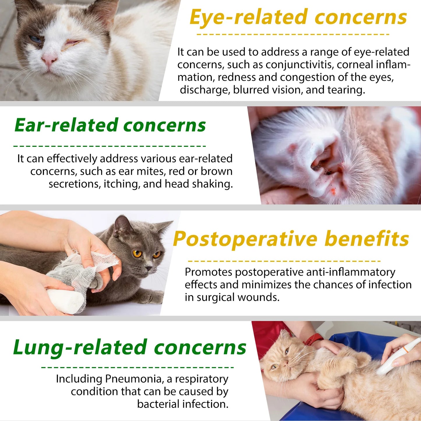 Natural Antibiotics for Cat Supports Pets Allergy Relief Itch Relief Multivitamin Help Cat Antiviral Antifungal in Liquid Form