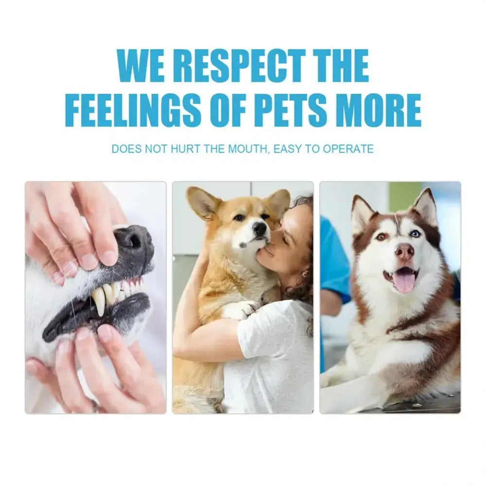 Pet Toothpaste for Dogs & Cats Oral Care 