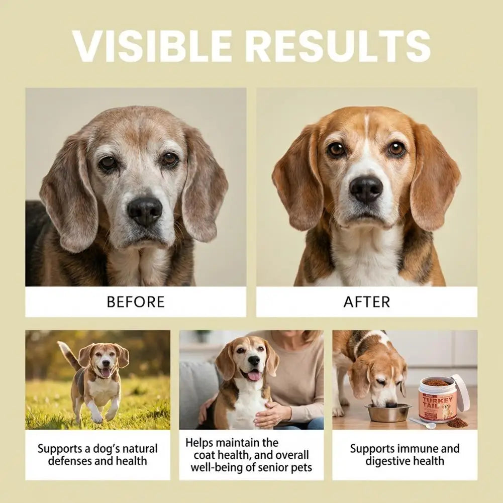 100g Dog Probiotics Immune Support Agent Elderly Dog Maintenance Joint Intestinal Skin Care Bacon Flavored Pet Health Supplement