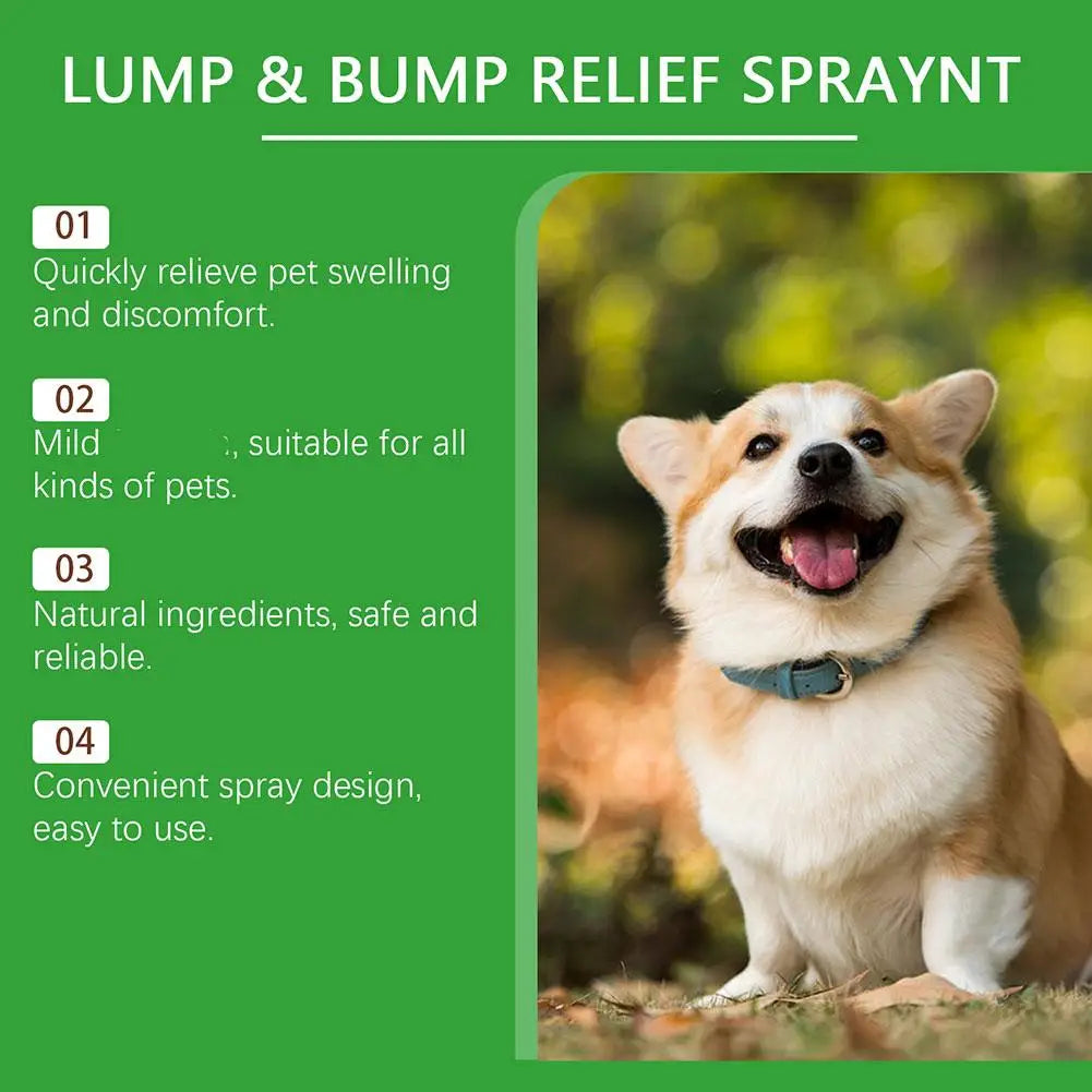89ML Anti Itch Spray For Dogs Dogs Pets Relief Spray For Irritated Skin Dogs Pets Itching Skin Relief Safe Soothing Pet Allergy