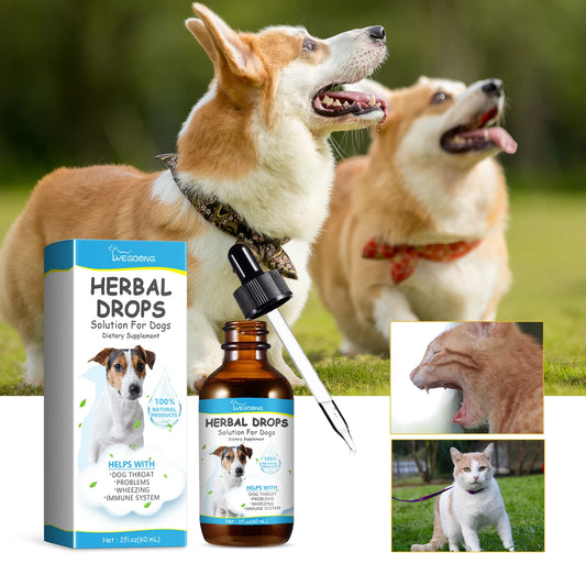 Herbal Drops to Relieve Pet Coughs Relieve Pet Discomfort and Restore Their Vitality Pet Cough and Runny Nose Care