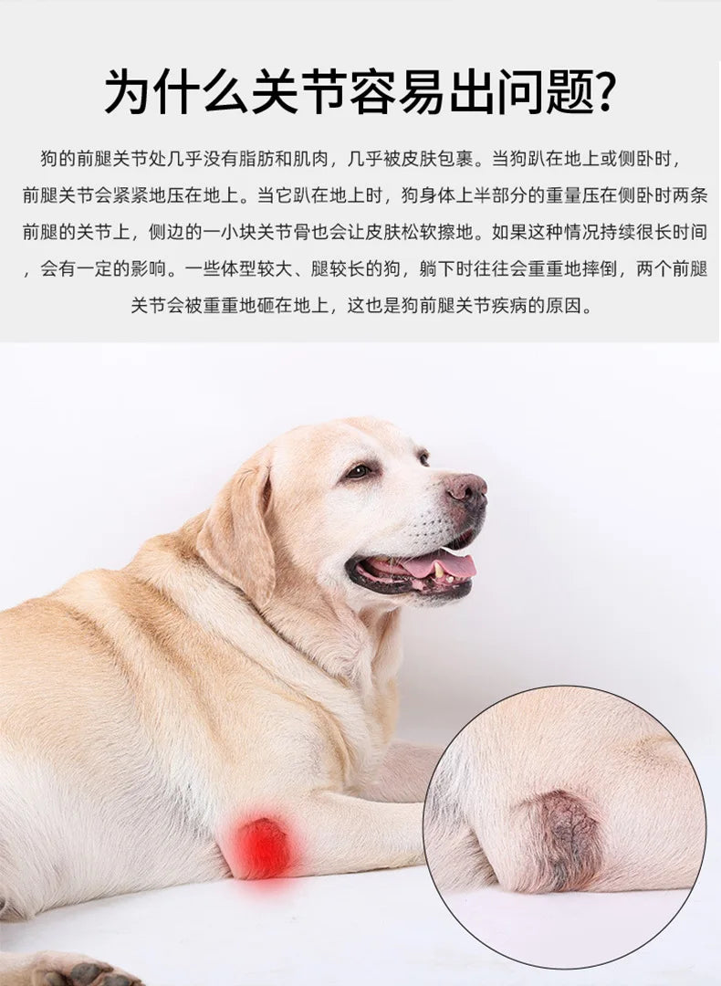 Pet Dog Knee Joint Protector - Patella Guard - Aid in Recovery - Ligament and Joint Dislocation Protection