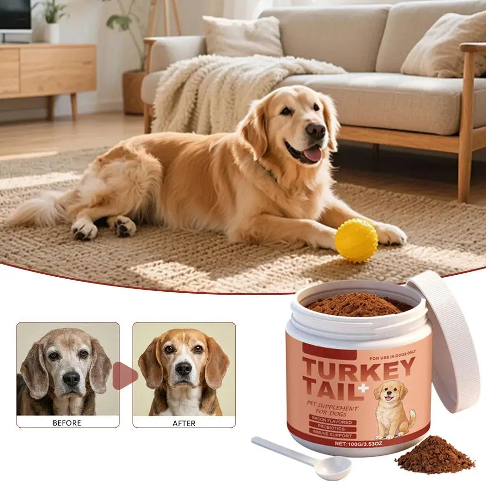 100g Dog Probiotics Immune Support Agent Elderly Dog Maintenance Joint Intestinal Skin Care Bacon Flavored Pet Health Supplement