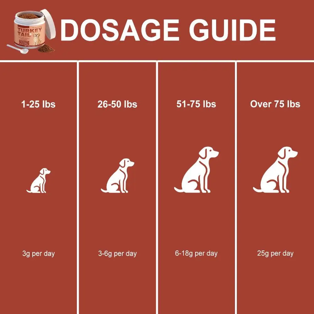 100g Dog Probiotics Immune Support Agent Elderly Dog Maintenance Joint Intestinal Skin Care Bacon Flavored Pet Health Supplement