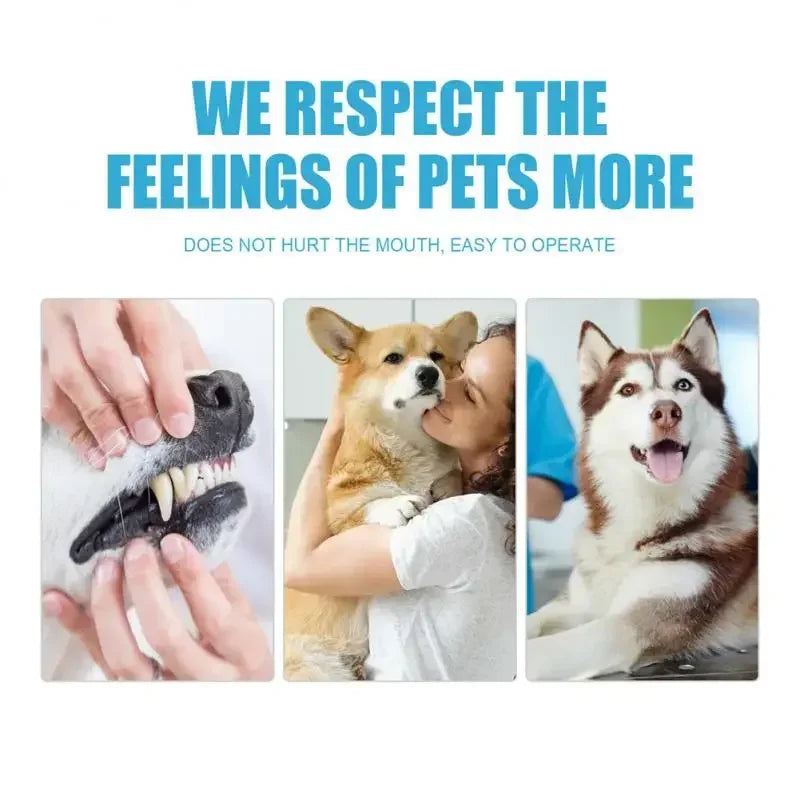 Pet Toothpaste for Dogs & Cats Oral Care 