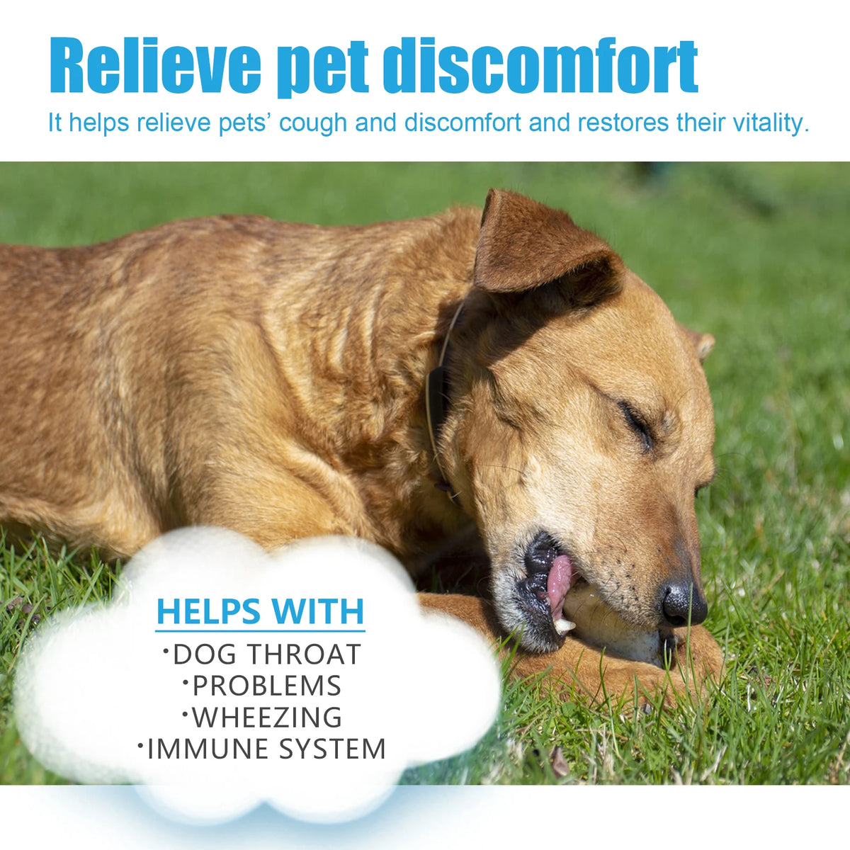 herbal drops for pet cough relief