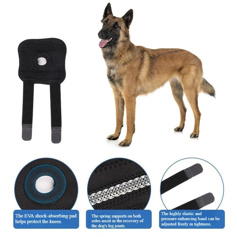 Pet Dog Knee Joint Protector - Patella Guard - Aid in Recovery - Ligament and Joint Dislocation Protection