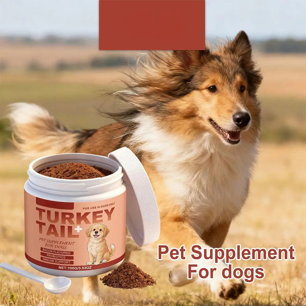 100g Dog Probiotics Immune Support Agent Elderly Dog Maintenance Joint Intestinal Skin Care Bacon Flavored Pet Health Supplement