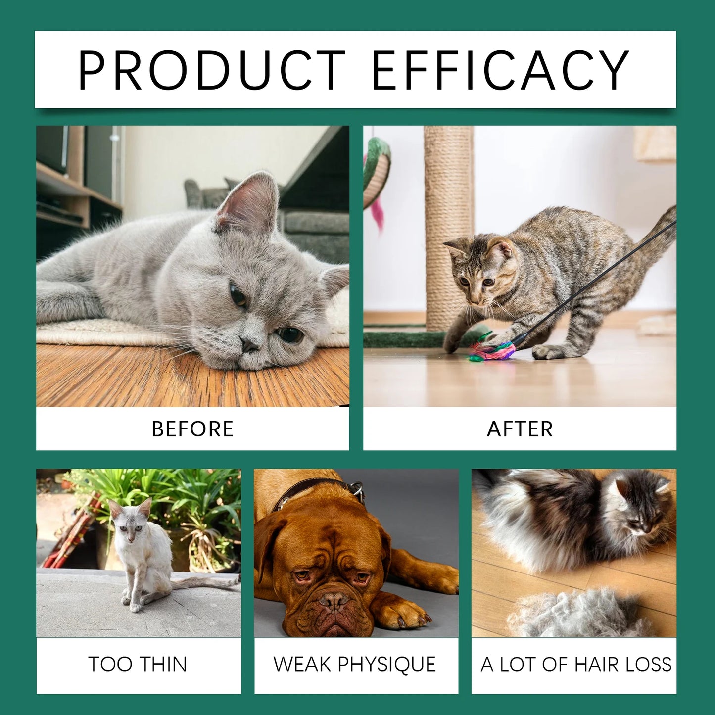 Pet Anxiety-Relief Dietary Supplement Easy to Feed Effectively Relieves Discomfort in Cats Dogs Easily Absorbed Soothing Drops