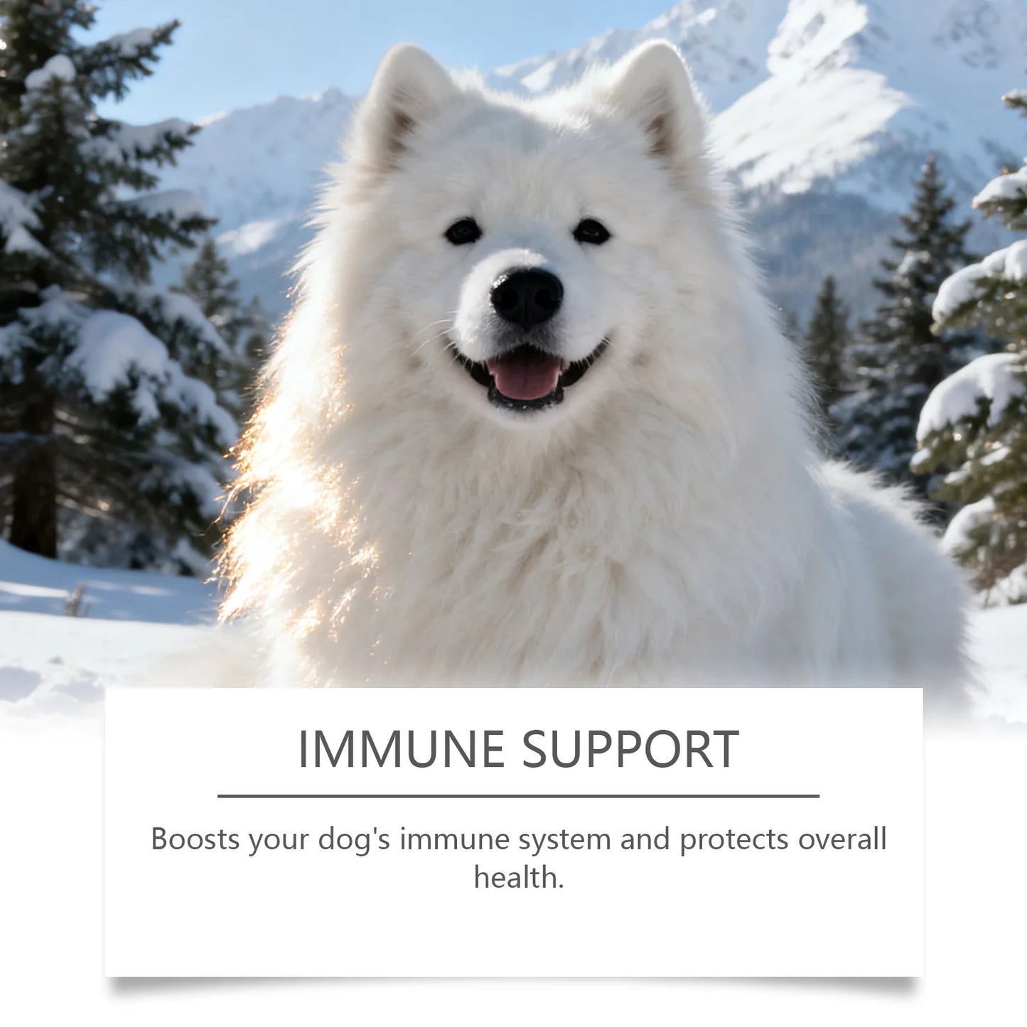 Dog Collagen Nutritional Drops Joint Skin Bone Hip Immune Health Support Supplement Boost Vitality Immune Whole Body Canine Care