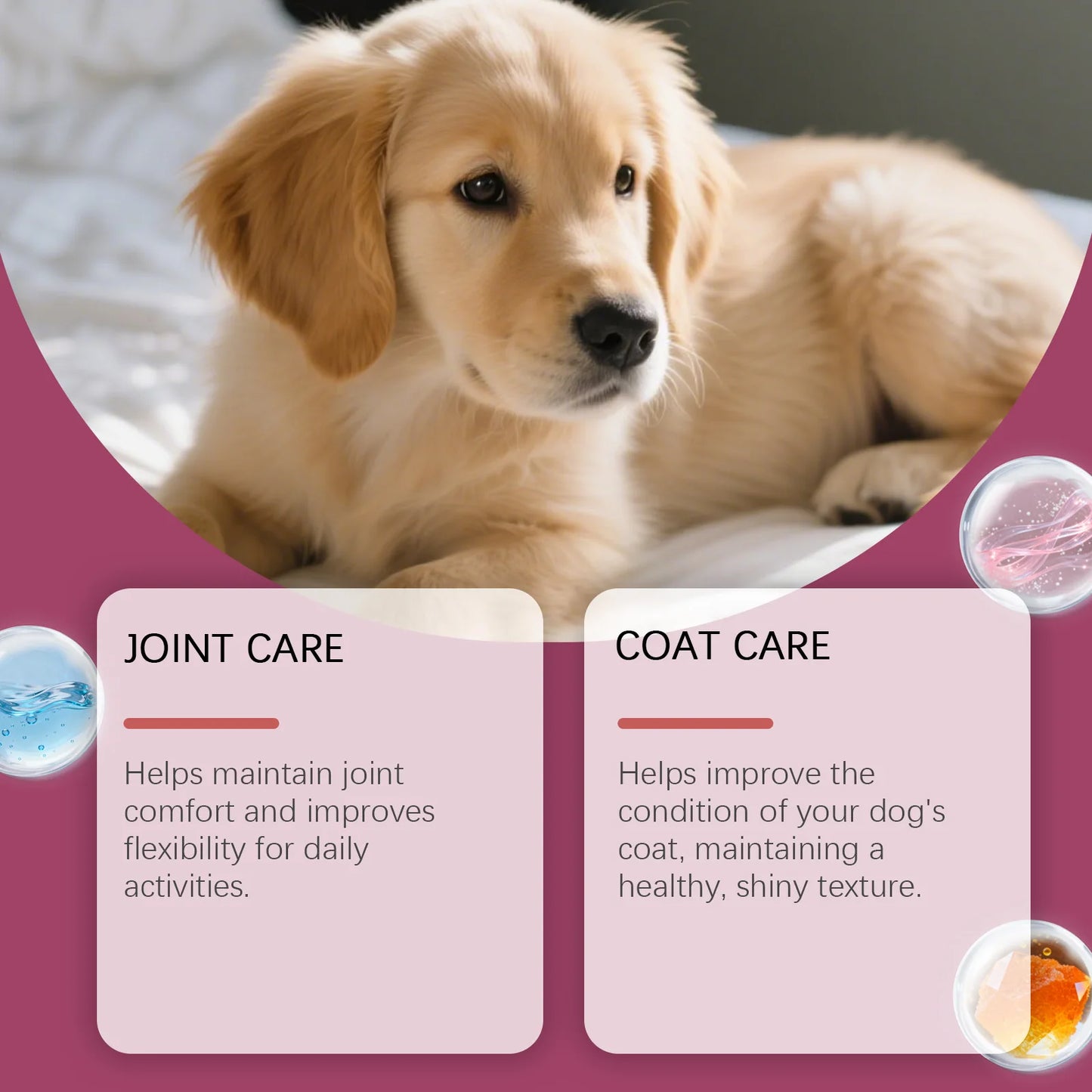 Dog Collagen Nutritional Drops Joint Skin Bone Hip Immune Health Support Supplement Boost Vitality Immune Whole Body Canine Care