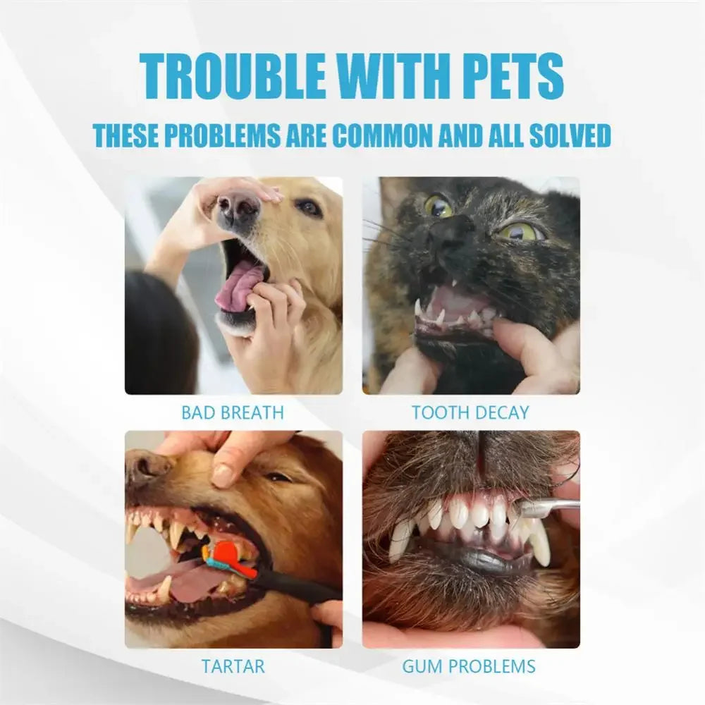 Pet Toothpaste for Dogs & Cats Oral Care 