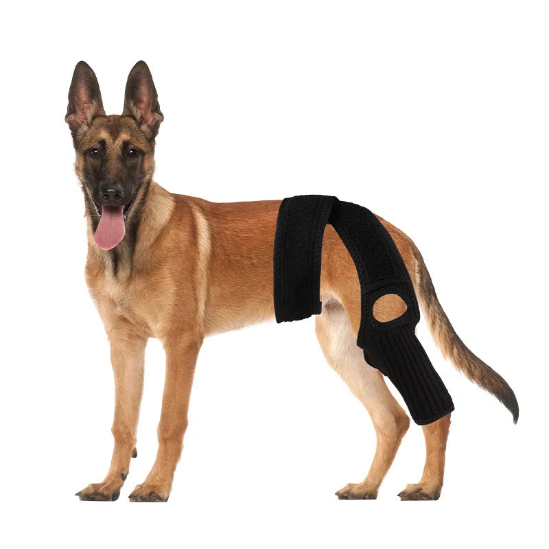 Pet Dog Knee Joint Protector - Patella Guard - Aid in Recovery - Ligament and Joint Dislocation Protection