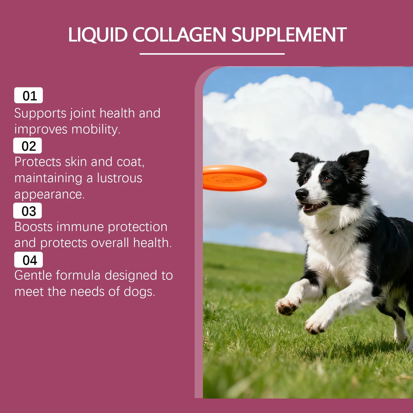 Dog Collagen Nutritional Drops Joint Skin Bone Hip Immune Health Support Supplement Boost Vitality Immune Whole Body Canine Care