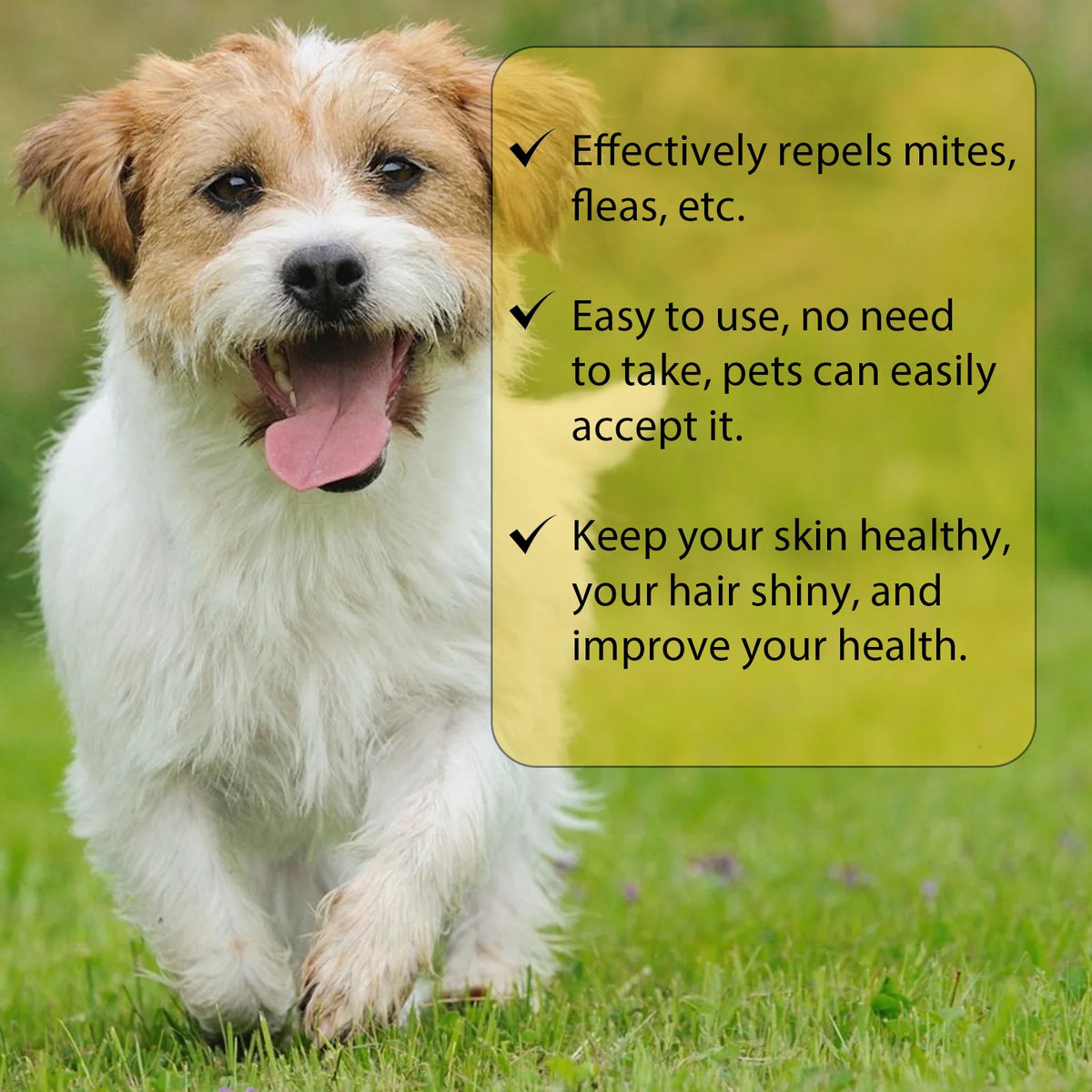 pet flea and tick drops anti-itching