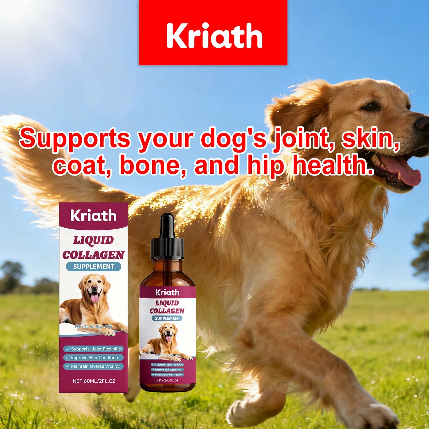 Dog Collagen Nutritional Drops Joint Skin Bone Hip Immune Health Support Supplement Boost Vitality Immune Whole Body Canine Care