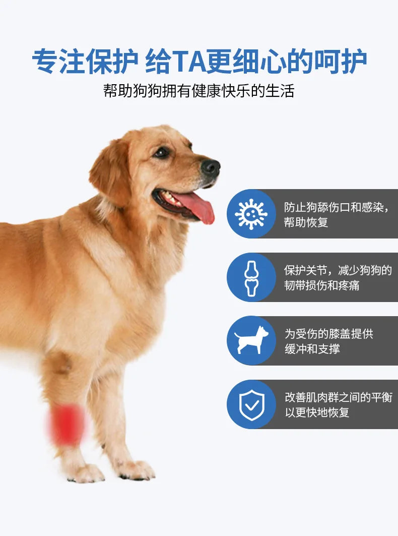 Pet Dog Knee Joint Protector - Patella Guard - Aid in Recovery - Ligament and Joint Dislocation Protection