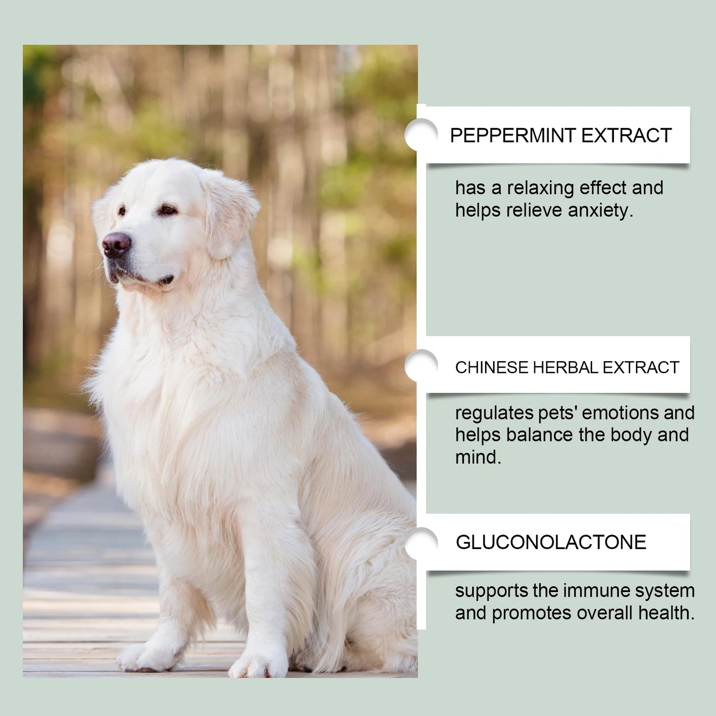 Pet Anxiety-Relief Dietary Supplement Easy to Feed Effectively Relieves Discomfort in Cats Dogs Easily Absorbed Soothing Drops