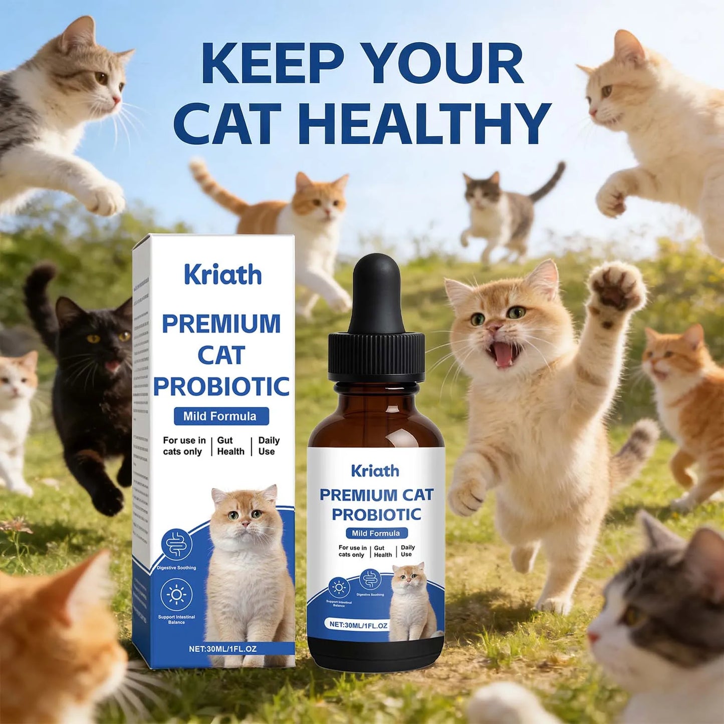 Premium Cat Probiotic Promote Digestion Soothing Support Intestinal Balance Maintains Healthy Gut Microbiota Cat Probiotic Drops
