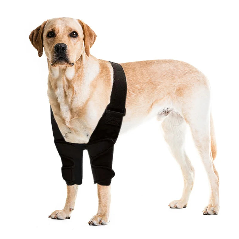 Pet Dog Knee Joint Protector - Patella Guard - Aid in Recovery - Ligament and Joint Dislocation Protection