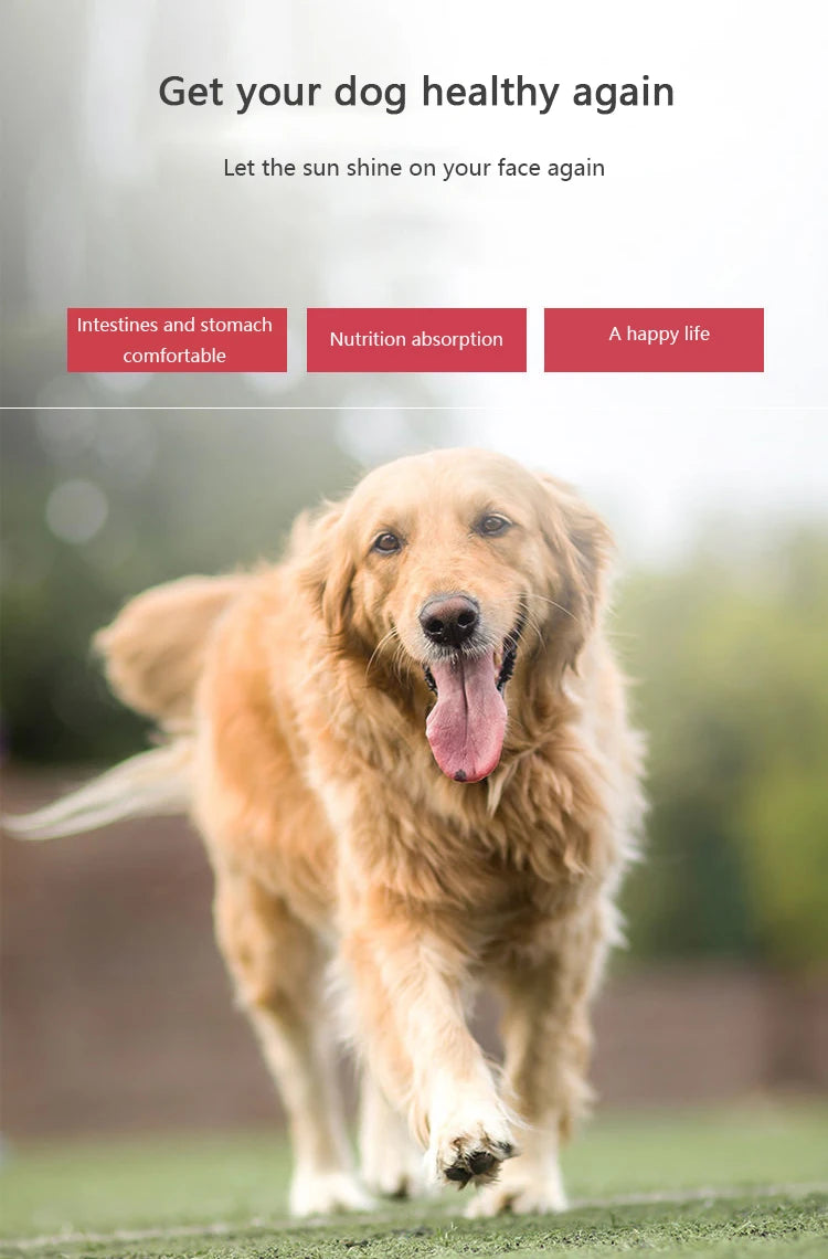 Pet Dog Digestion Tablets 400 Probiotics Appetizer Stomach Health Care Intestines and Stomach Into A Cat Stomach Treasure