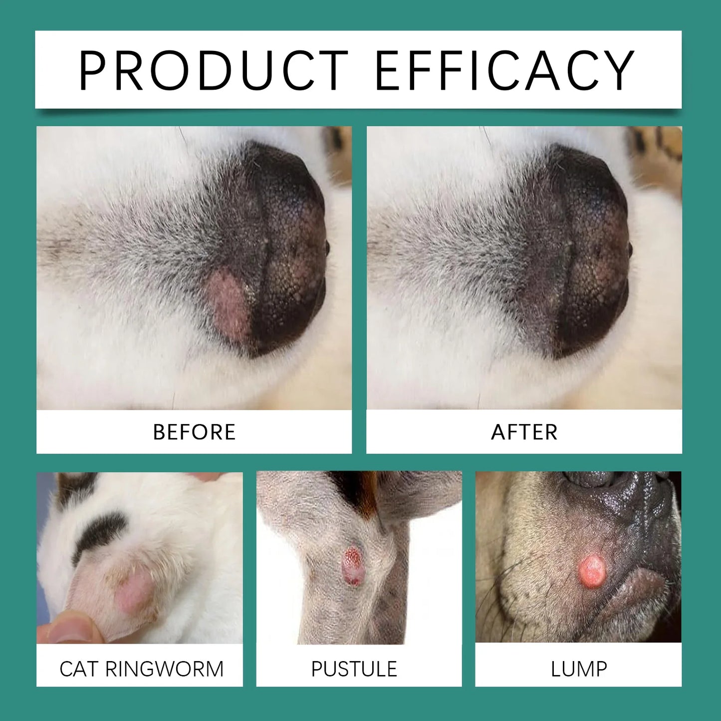 Pet Skin Repair Spray–Soothes Dryness, Sensitivity,Redness&Itching,Non-Irritating&Non-Sensitizing,Suitable for Puppies & Kittens