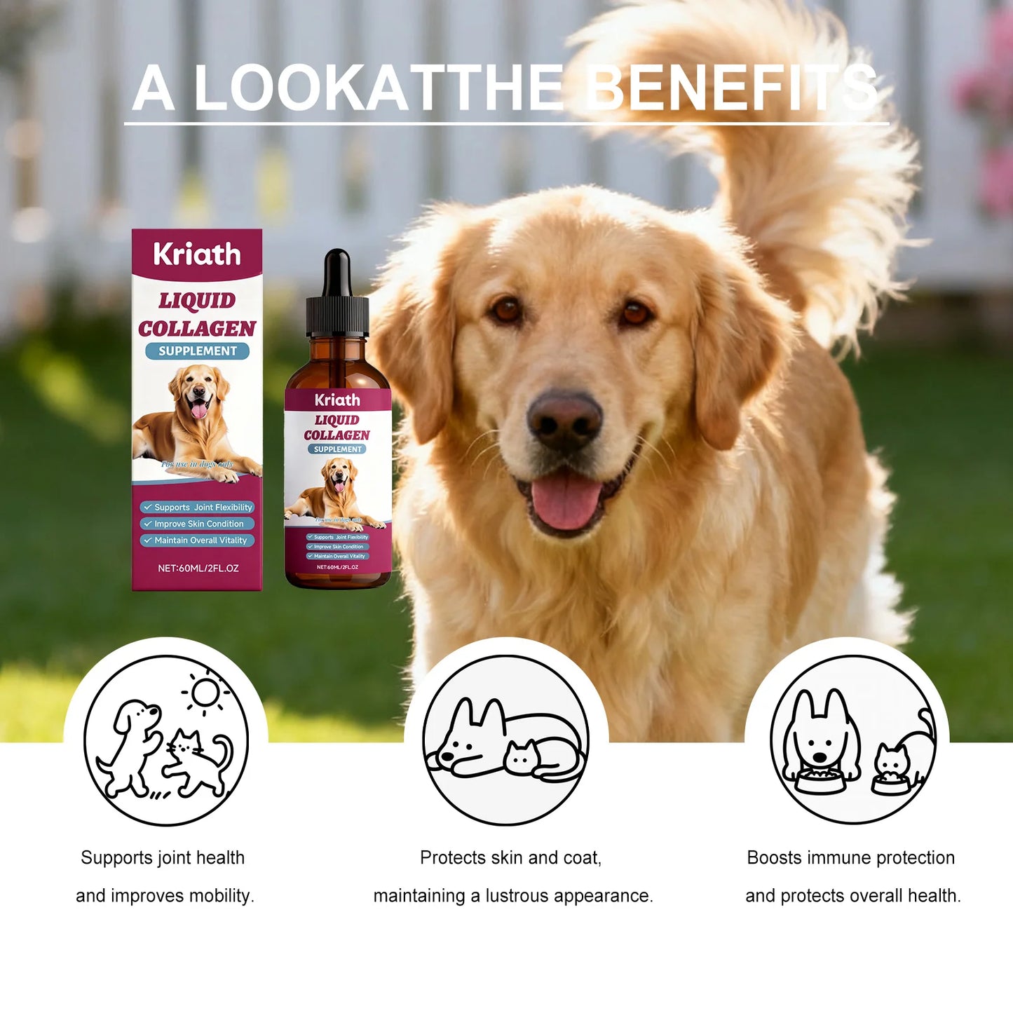 Dog Collagen Nutritional Drops Joint Skin Bone Hip Immune Health Support Supplement Boost Vitality Immune Whole Body Canine Care