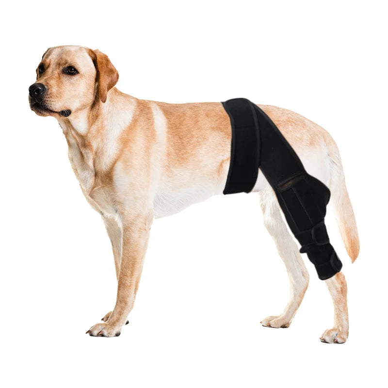 Pet Dog Knee Joint Protector - Patella Guard - Aid in Recovery - Ligament and Joint Dislocation Protection
