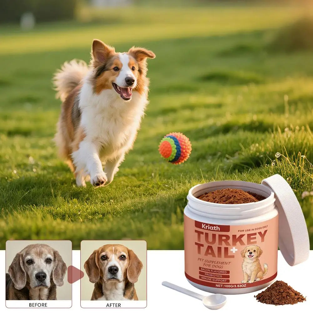 100g Dog Probiotics Immune Support Agent Elderly Dog Maintenance Joint Intestinal Skin Care Bacon Flavored Pet Health Supplement