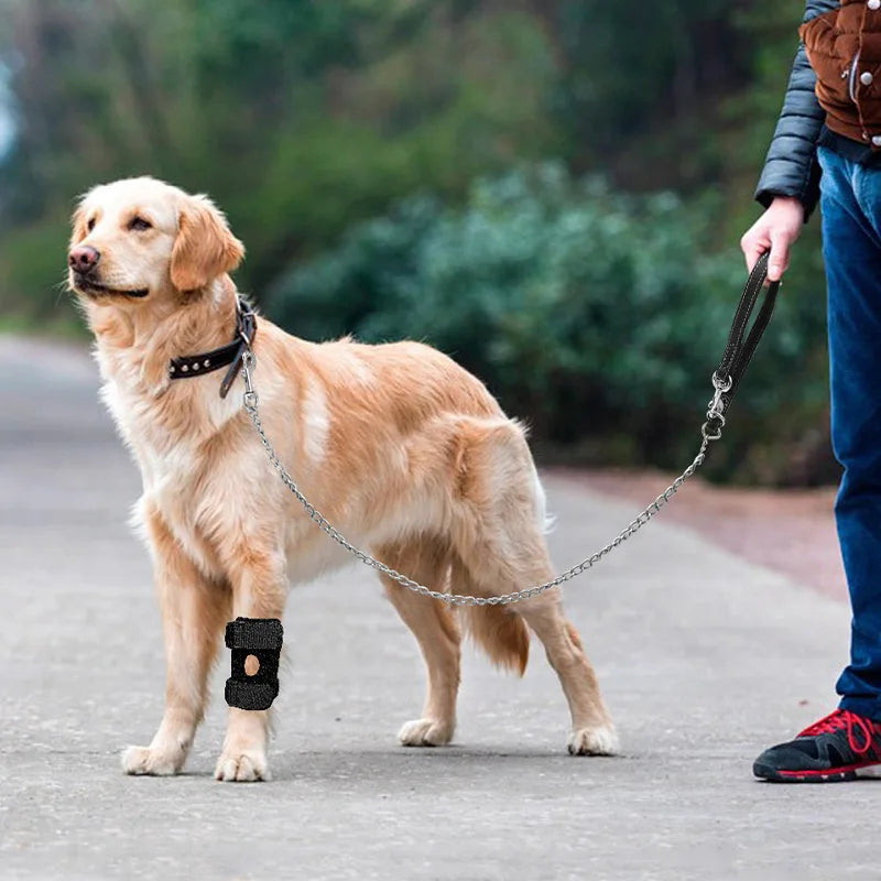 Pet Dog Knee Joint Protector - Patella Guard - Aid in Recovery - Ligament and Joint Dislocation Protection