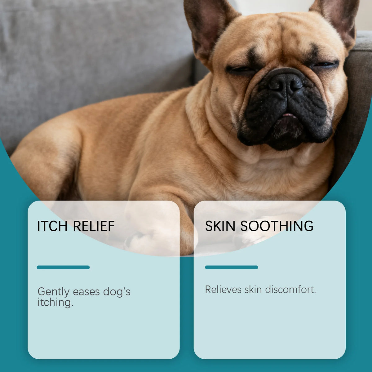Pet Skin Care Spray Gentle Topical Care