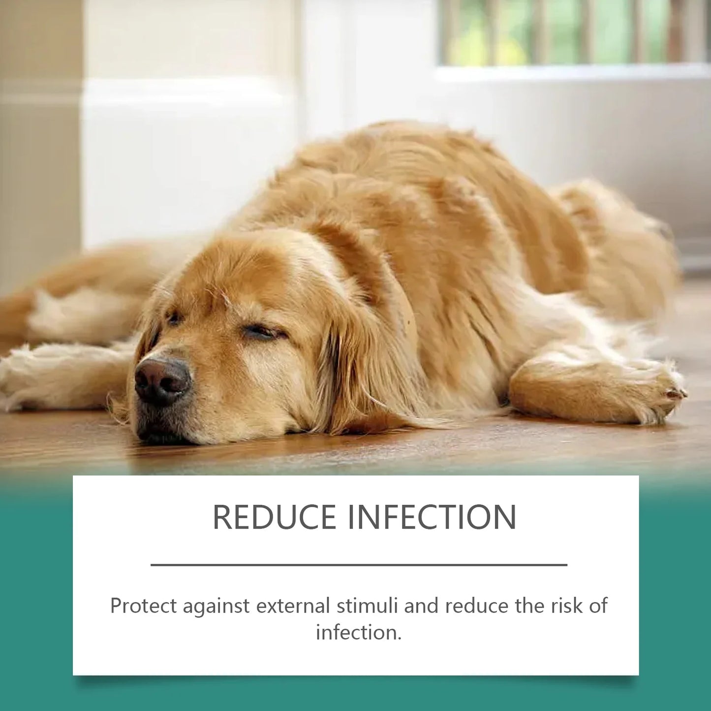 Pet Skin Repair Spray–Soothes Dryness, Sensitivity,Redness&Itching,Non-Irritating&Non-Sensitizing,Suitable for Puppies & Kittens
