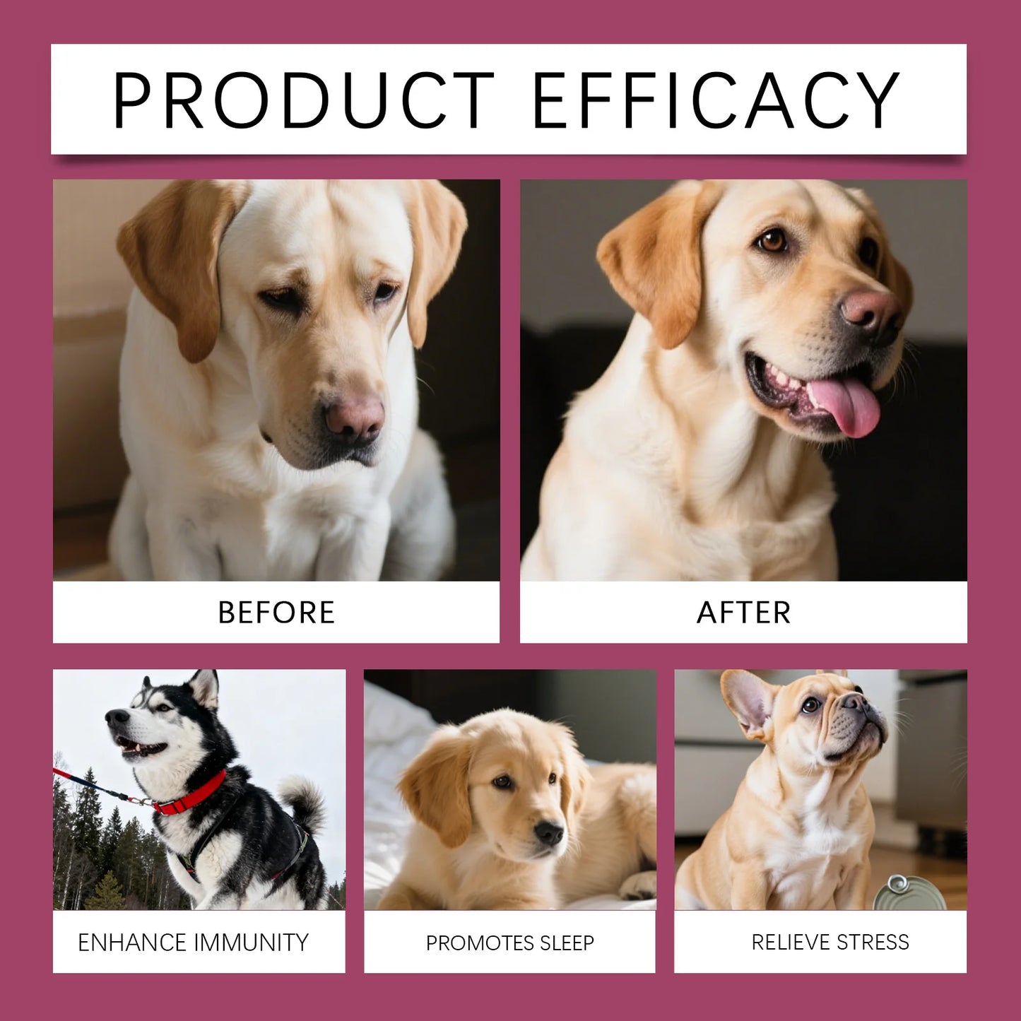 Dog Collagen Nutritional Drops Joint Skin Bone Hip Immune Health Support Supplement Boost Vitality Immune Whole Body Canine Care