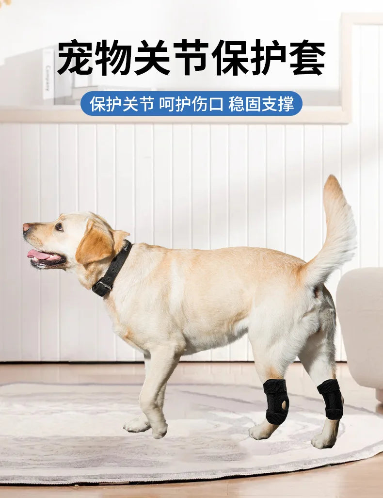 Pet Dog Knee Joint Protector - Patella Guard - Aid in Recovery - Ligament and Joint Dislocation Protection