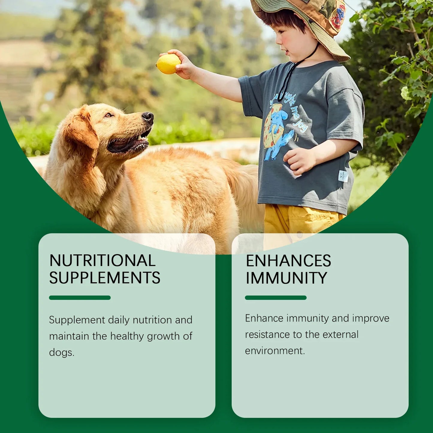 YEGBONG Natural Antibiotic for Dogs Care Daily Protection Regulate Metabolism Boost Immunity Gentle Dog Dietary Supplement 60ml