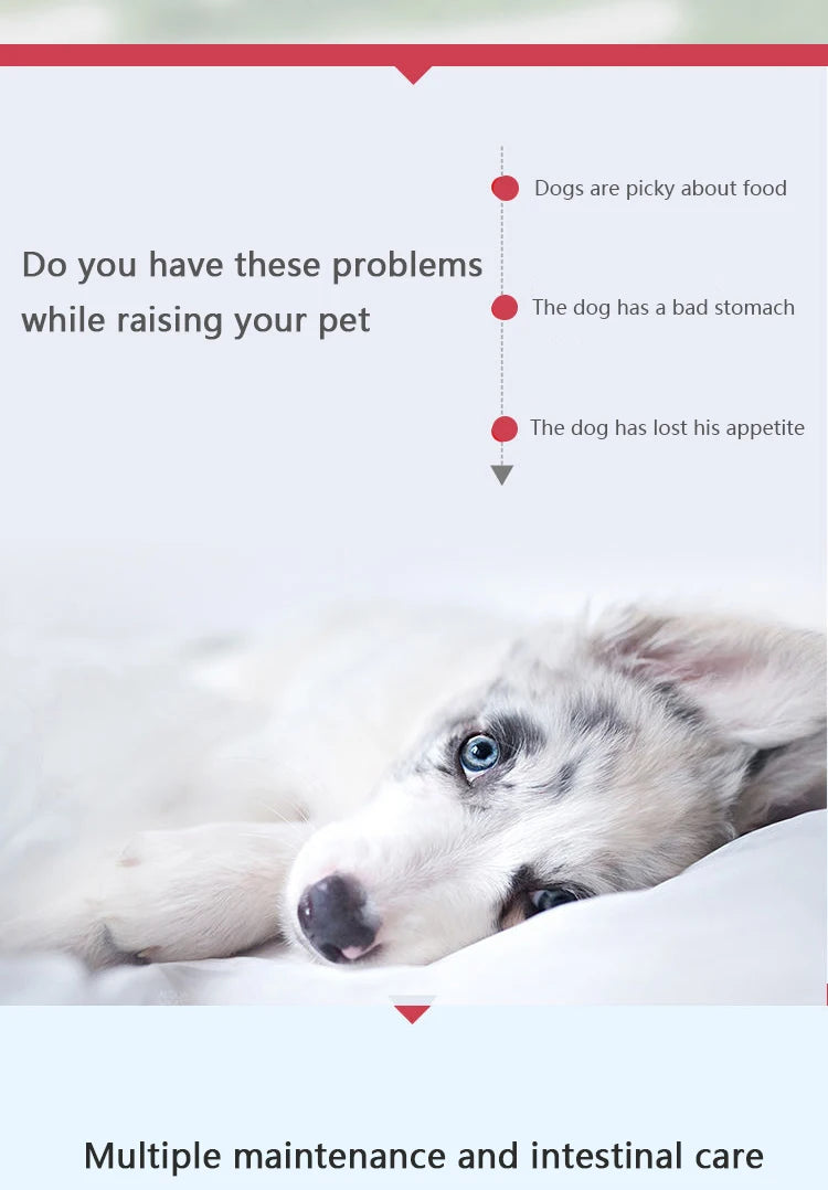 Pet Dog Digestion Tablets 400 Probiotics Appetizer Stomach Health Care Intestines and Stomach Into A Cat Stomach Treasure
