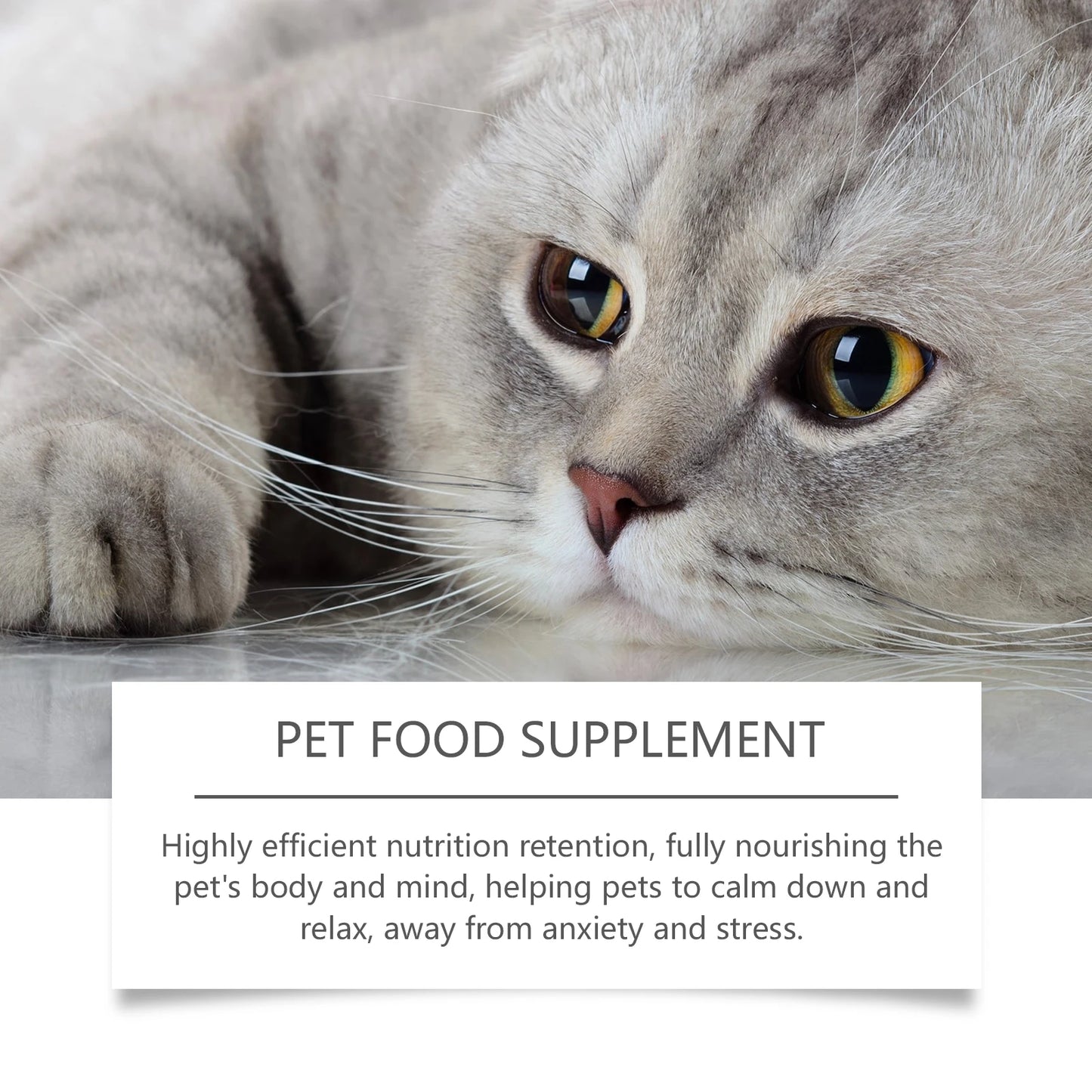 Pet Anxiety-Relief Dietary Supplement Easy to Feed Effectively Relieves Discomfort in Cats Dogs Easily Absorbed Soothing Drops