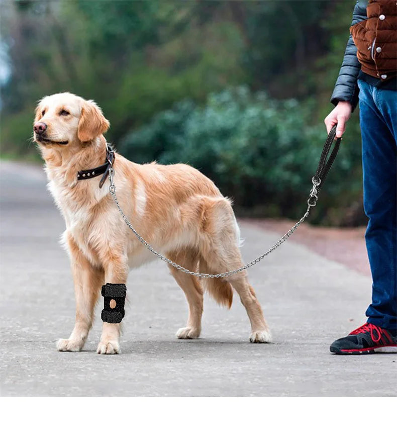 Pet Dog Knee Joint Protector - Patella Guard - Aid in Recovery - Ligament and Joint Dislocation Protection